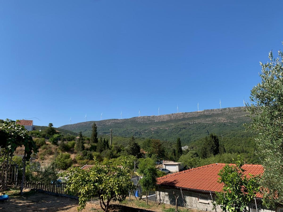 אולסינץ' Holiday Home Bratica מראה חיצוני תמונה