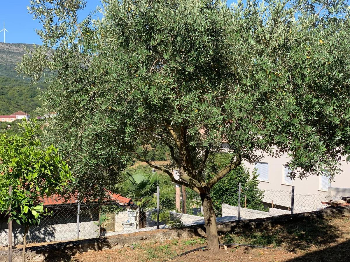 אולסינץ' Holiday Home Bratica מראה חיצוני תמונה